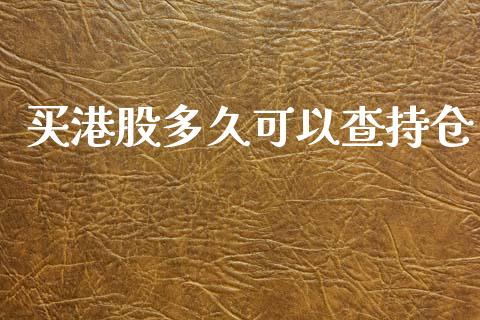 买港股多久可以查持仓_https://qh.lansai.wang_期货理财_第1张