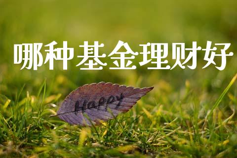 哪种基金理财好_https://qh.lansai.wang_期货理财_第1张