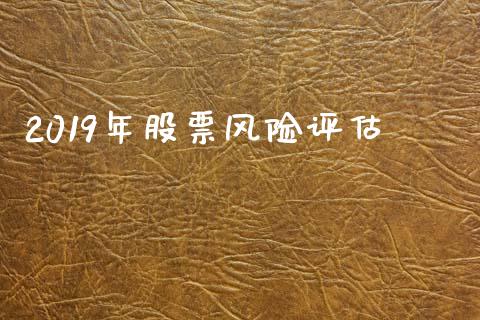 2019年股票风险评估_https://qh.lansai.wang_期货怎么玩_第1张