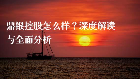 鼎银控股怎么样？深度解读与全面分析_https://qh.lansai.wang_新股数据_第1张