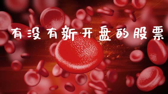 有没有新开盘的股票_https://qh.lansai.wang_期货喊单_第1张