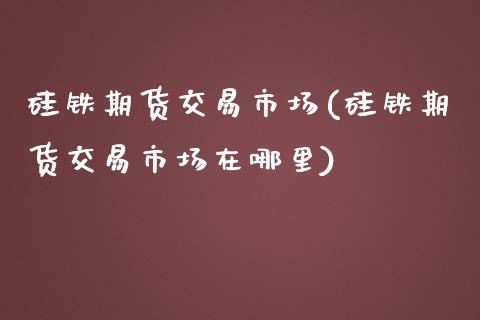 硅铁期货交易市场(硅铁期货交易市场在哪里)_https://qh.lansai.wang_期货喊单_第1张
