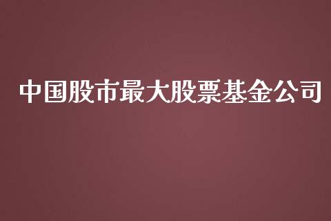 中国股市最大股票基金公司_https://qh.lansai.wang_期货理财_第1张