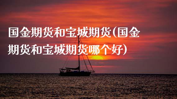 国金期货和宝城期货(国金期货和宝城期货哪个好)_https://qh.lansai.wang_期货怎么玩_第1张