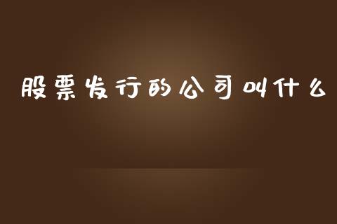 股票发行的公司叫什么_https://qh.lansai.wang_期货理财_第1张