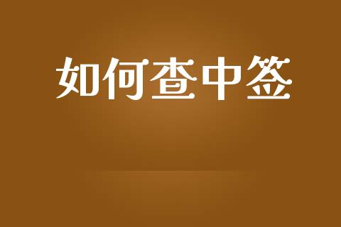 如何查中签_https://qh.lansai.wang_新股数据_第1张