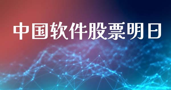 中国软件股票明日_https://qh.lansai.wang_期货理财_第1张