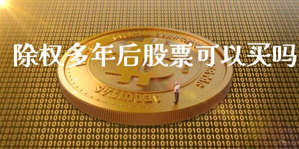 除权多年后股票可以买吗_https://qh.lansai.wang_期货怎么玩_第1张
