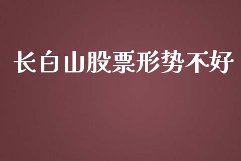 长白山股票形势不好_https://qh.lansai.wang_期货理财_第1张