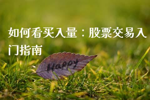 如何看买入量：股票交易入门指南_https://qh.lansai.wang_期货理财_第1张