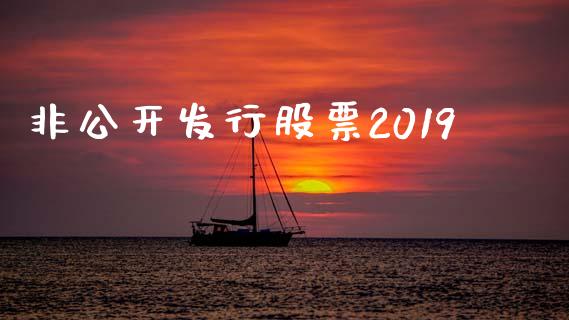 非公开发行股票2019_https://qh.lansai.wang_期货怎么玩_第1张