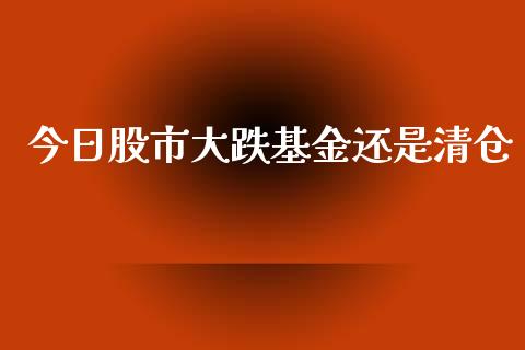 今日股市大跌基金还是清仓_https://qh.lansai.wang_期货理财_第1张