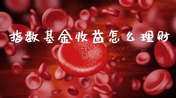指数基金收益怎么理财_https://qh.lansai.wang_期货理财_第1张