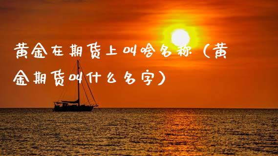 黄金在期货上叫啥名称（黄金期货叫什么名字）_https://qh.lansai.wang_股票技术分析_第1张