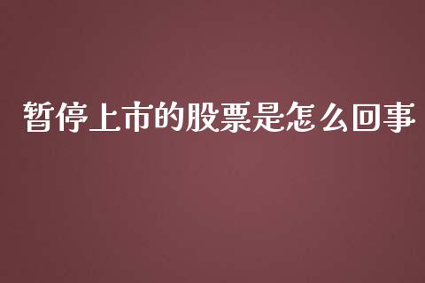 暂停上市的股票是怎么回事_https://qh.lansai.wang_期货理财_第1张