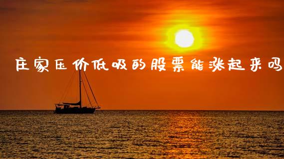 庄家压价低吸的股票能涨起来吗_https://qh.lansai.wang_期货喊单_第1张