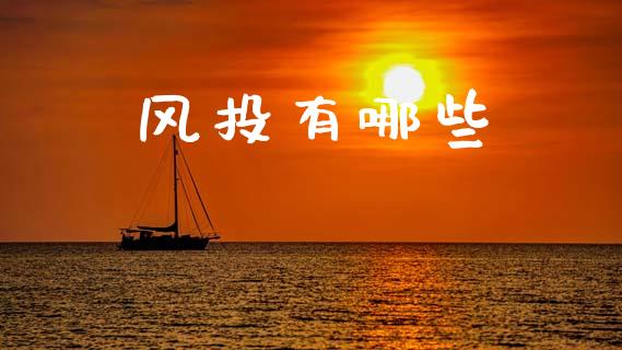 风投有哪些_https://qh.lansai.wang_期货理财_第1张