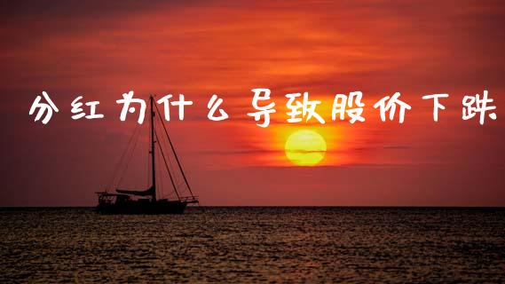 分红为什么导致股价下跌_https://qh.lansai.wang_新股数据_第1张