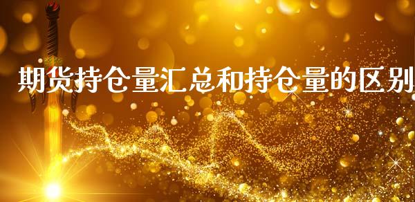 期货持仓量汇总和持仓量的区别_https://qh.lansai.wang_期货理财_第1张