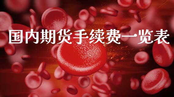 国内期货手续费一览表_https://qh.lansai.wang_期货怎么玩_第1张
