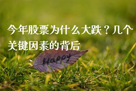 今年股票为什么大跌？几个关键因素的背后_https://qh.lansai.wang_期货喊单_第1张