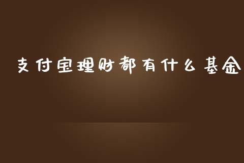 支付宝理财都有什么基金_https://qh.lansai.wang_期货理财_第1张