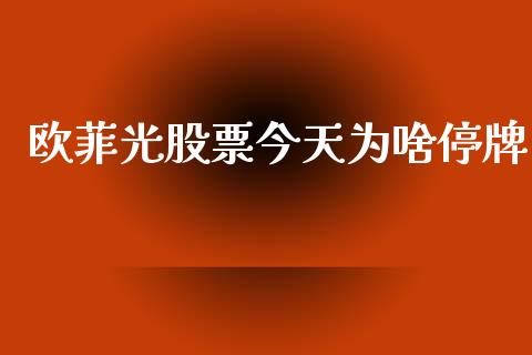 欧菲光股票今天为啥停牌_https://qh.lansai.wang_期货喊单_第1张