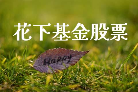 花下基金股票_https://qh.lansai.wang_期货怎么玩_第1张