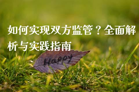 如何实现双方监管？全面解析与实践指南_https://qh.lansai.wang_股票技术分析_第1张
