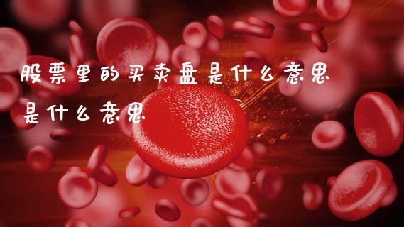 股票里的买卖盘是什么意思是什么意思_https://qh.lansai.wang_期货理财_第1张