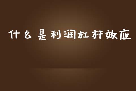 什么是利润杠杆效应_https://qh.lansai.wang_期货喊单_第1张