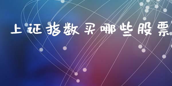 上证指数买哪些股票_https://qh.lansai.wang_期货理财_第1张