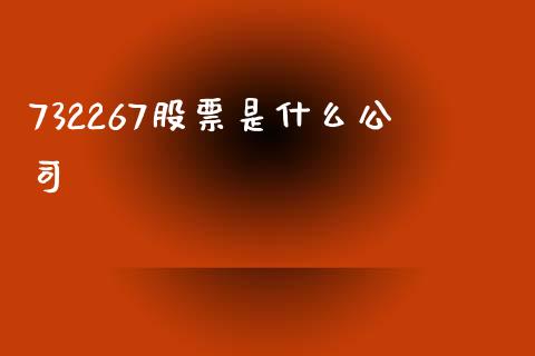 732267股票是什么公司_https://qh.lansai.wang_期货怎么玩_第1张