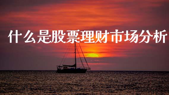 什么是股票理财市场分析_https://qh.lansai.wang_新股数据_第1张