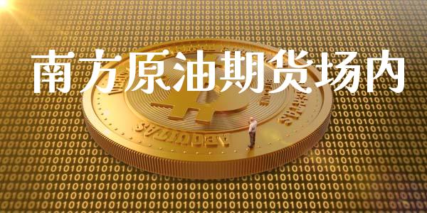 南方原油期货场内_https://qh.lansai.wang_期货怎么玩_第1张