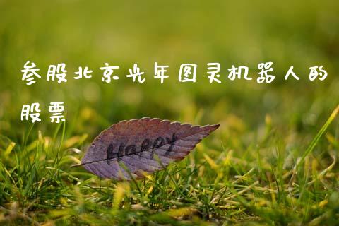 参股北京光年图灵机器人的股票_https://qh.lansai.wang_期货理财_第1张