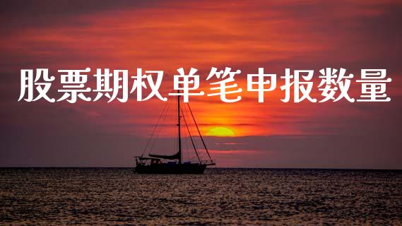 股票期权单笔申报数量_https://qh.lansai.wang_期货喊单_第1张