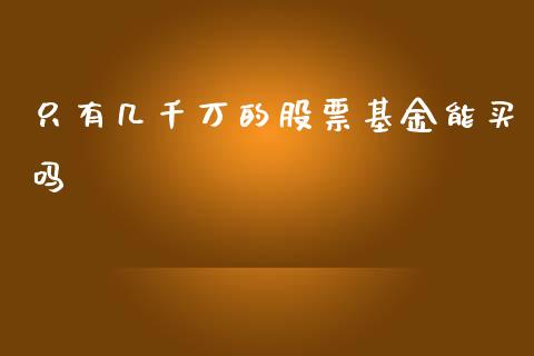 只有几千万的股票基金能买吗_https://qh.lansai.wang_期货喊单_第1张