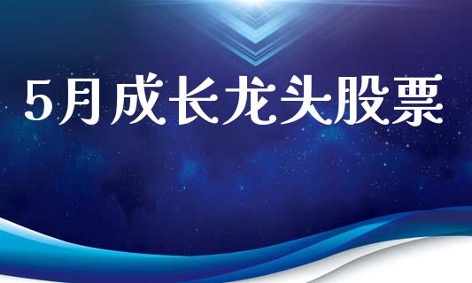 5月成长龙头股票_https://qh.lansai.wang_期货怎么玩_第1张