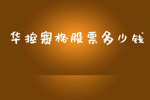 华控赛格股票多少钱_https://qh.lansai.wang_期货怎么玩_第1张