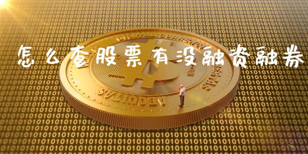 怎么查股票有没融资融券_https://qh.lansai.wang_期货理财_第1张