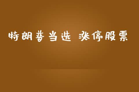 特朗普当选 涨停股票_https://qh.lansai.wang_期货怎么玩_第1张