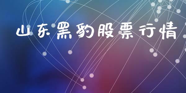 山东黑豹股票行情_https://qh.lansai.wang_新股数据_第1张