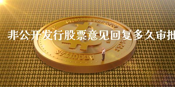 非公开发行股票意见回复多久审批_https://qh.lansai.wang_新股数据_第1张