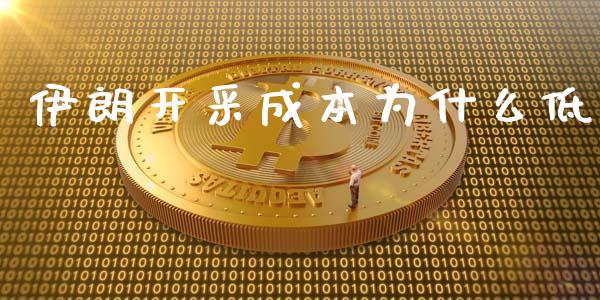 伊朗开采成本为什么低_https://qh.lansai.wang_海康威视股票_第1张