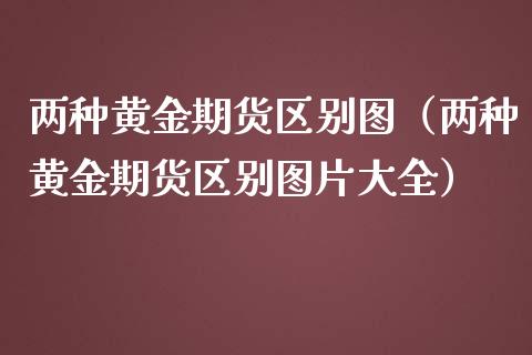 两种黄金期货区别图（两种黄金期货区别图片大全）_https://qh.lansai.wang_期货理财_第1张