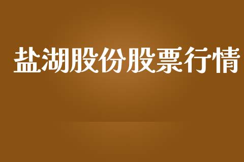 盐湖股份股票行情_https://qh.lansai.wang_股票新闻_第1张