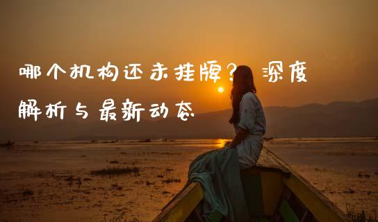 哪个机构还未挂牌？ 深度解析与最新动态_https://qh.lansai.wang_海康威视股票_第1张