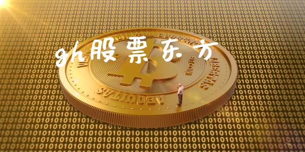 gh股票东方_https://qh.lansai.wang_期货理财_第1张