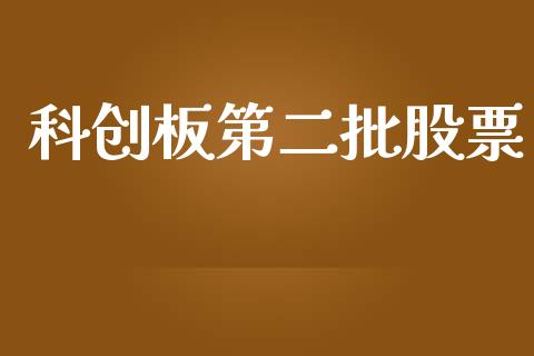 科创板第二批股票_https://qh.lansai.wang_新股数据_第1张